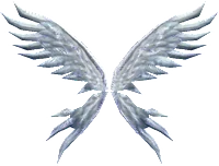 Wings of Soul +15